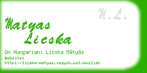 matyas licska business card